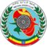 埃塞俄比亞國防軍