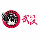 武漢盛帆女籃